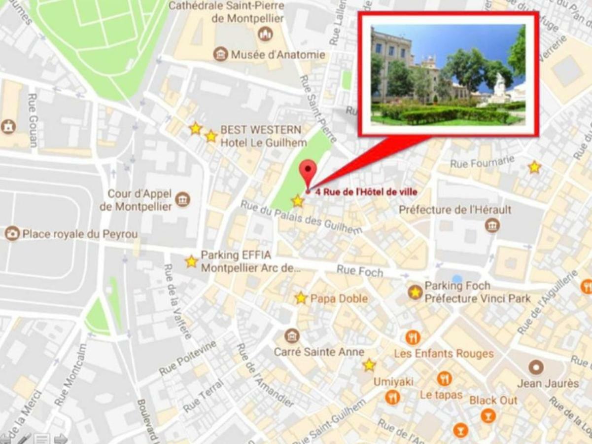 Le Platane De La Canourgue Montpellier Eksteriør bilde